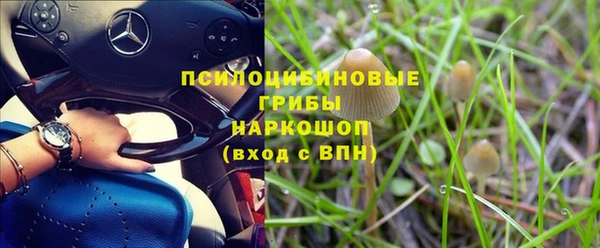 мет Алзамай