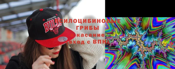 крисы Алексеевка