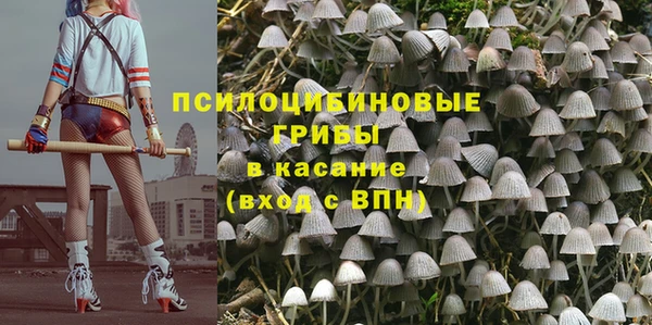 крисы Алексеевка