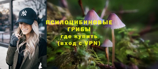 крисы Алексеевка