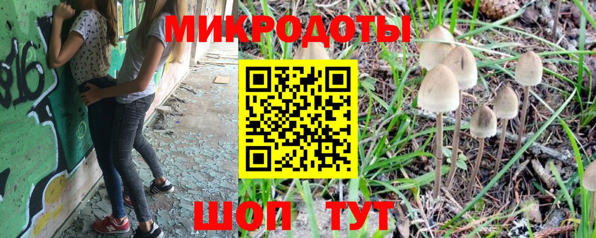 Псилоцибиновые грибы Psilocybe Арзамас